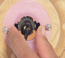 Bulb Preparation